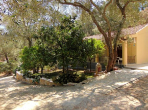 Гостиница Villa Eleni - Studios  Лиападес